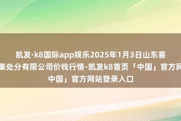 凯发·k8国际app娱乐2025年1月3日山东喜地农居品市集处分有限公司价钱行情-凯发k8首页「中国」官方网站登录入口